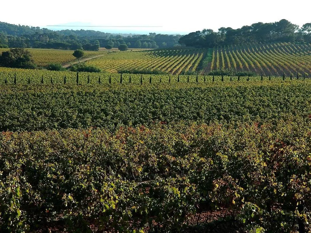 Panzió Chateau Maravenne La Londe-les-Maures Franciaország